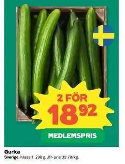 Coop Daglivs Gurka, Medlemspris erbjuda