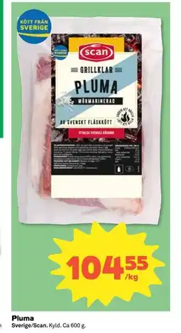 Coop Daglivs Pluma erbjuda