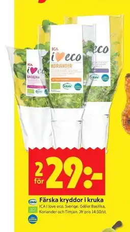 ICA Kvantum Färska kryddor i kruka erbjuda