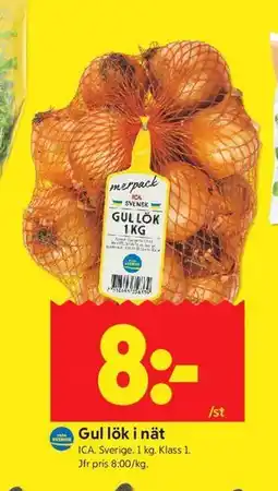 ICA Kvantum Gul lök i nät erbjuda