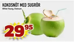 Din Mat Kokosnöt med sugrör erbjuda