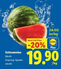 Lidl Vattenmelon erbjuda