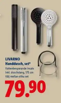 Lidl LIVARNO Handdusch, set erbjuda