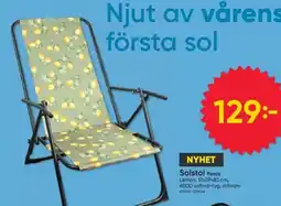 DollarStore Solstol Parco erbjuda