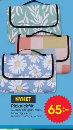 DollarStore Picknickfilt erbjuda