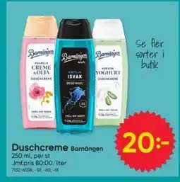DollarStore Barnängen Duschcreme erbjuda
