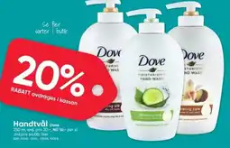 DollarStore Dove Handtvål erbjuda
