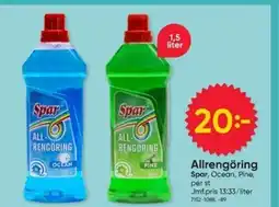 DollarStore Spar Allrengöring erbjuda