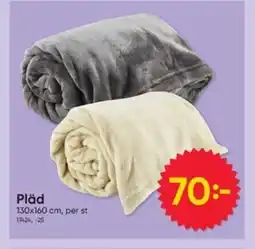 DollarStore Pläd erbjuda