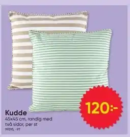 DollarStore Kudde erbjuda