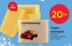 DollarStore Tvätt- svampar erbjuda