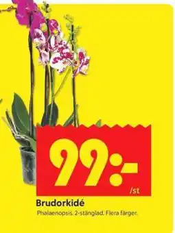 ICA Supermarket Brudorkidé erbjuda