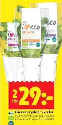 ICA Supermarket Färska kryddor i kruka erbjuda