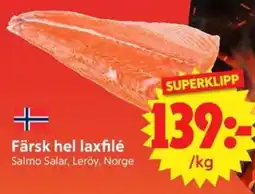 Nya Pulsen Färsk hel laxfilé erbjuda