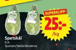 Nya Pulsen ICA Spetskål erbjuda