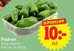 Nya Pulsen Padron erbjuda