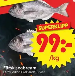 Nya Pulsen Färsk seabream erbjuda