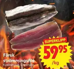 Nya Pulsen Färsk strömmingsfilé erbjuda