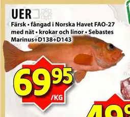 Matvärlden Tensta UER erbjuda