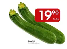 Snabbgross Zucchini erbjuda