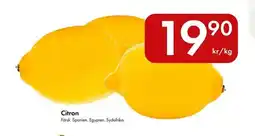 Snabbgross Citron erbjuda