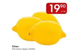 Snabbgross Citron erbjuda