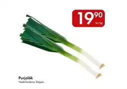 Snabbgross Purjolök erbjuda