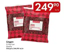 Snabbgross GASTRINO Lingon erbjuda