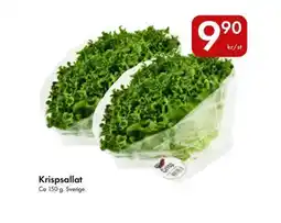 Snabbgross Krispsallat erbjuda