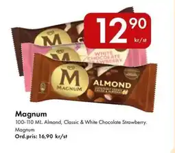 Snabbgross Magnum erbjuda