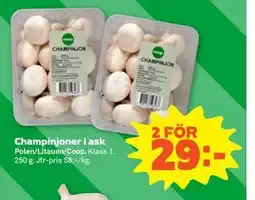 Stora Coop Champinjoner i ask erbjuda