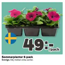 Coop Sommarplantor 6-pack erbjuda