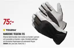 Swedol Handske tegera 115 erbjuda