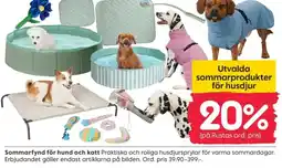 Rusta Sommarfynd för hund och katt erbjuda