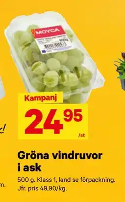 City Gross Gröna vindruvor i ask erbjuda