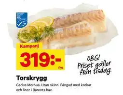 City Gross Torskrygg erbjuda