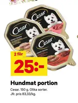City Gross Hundmat portion erbjuda