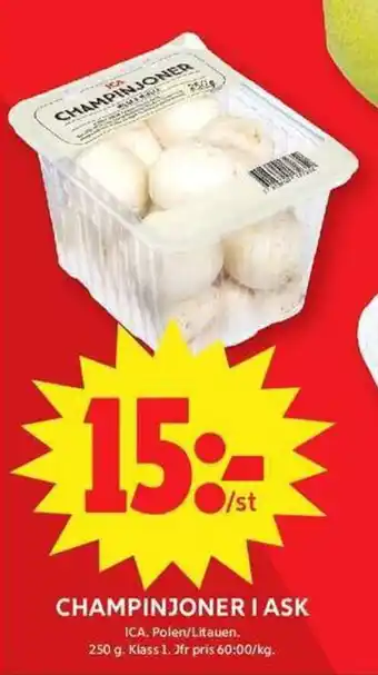 ICA Maxi ICA Champinjoner i ask erbjuda