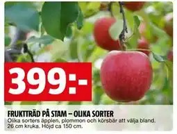 Bauhaus FRUKTTRÄD PÅ STAM – OLIKA SORTER erbjuda