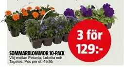 Bauhaus SOMMARBLOMMOR 10-PACK erbjuda