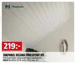 Bauhaus TAKPANEL REGINA PÄRLSPONT VIT erbjuda