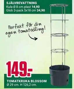 ÖoB TOMATKRUKA BLOSSOM erbjuda