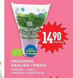 Willys Hemma EKOLOGISK BASILIKA I KRUKA erbjuda