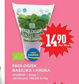 Willys Hemma EKOLOGISK BASILIKA I KRUKA erbjuda