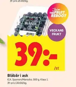 ICA Kvantum Blåbär i ask erbjuda