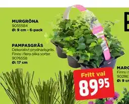 Jem&Fix MURGRÖNA erbjuda