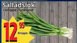 Supergrossen Salladslök erbjuda