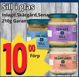 Supergrossen Sill i glas erbjuda
