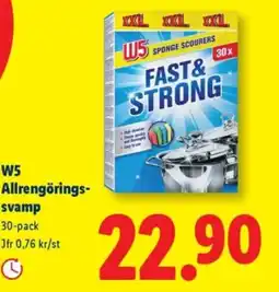 Lidl W5 Allrengörings- svamp erbjuda