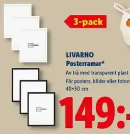 Lidl LIVARNO Posterramar erbjuda